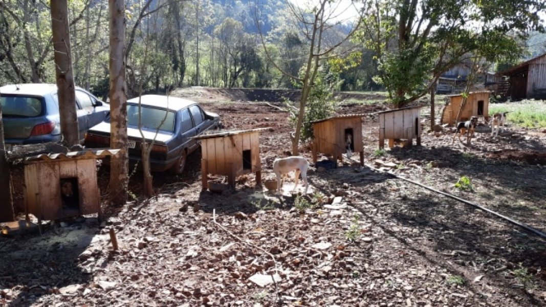 operacao-policial-flagra-maus-tratos-de-animais-no-interior-de-caibi-1