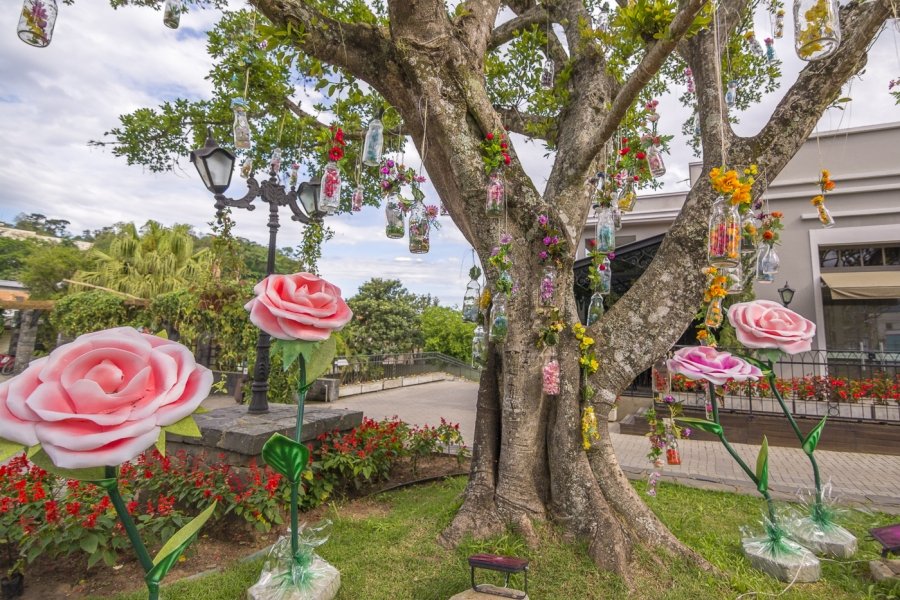 segunda-edicao-da-primavera-contara-com-decoracao-e-varias-atracoes-em-nova-veneza-1