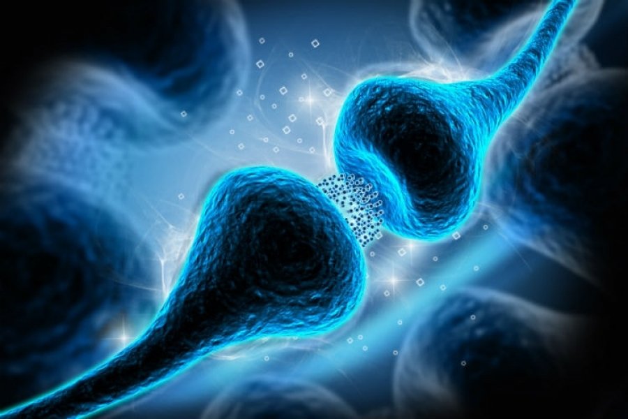 serotonina-e-famosa-por-trazer-bem-estar-mas-tambem-possui-outras-funcoes-1