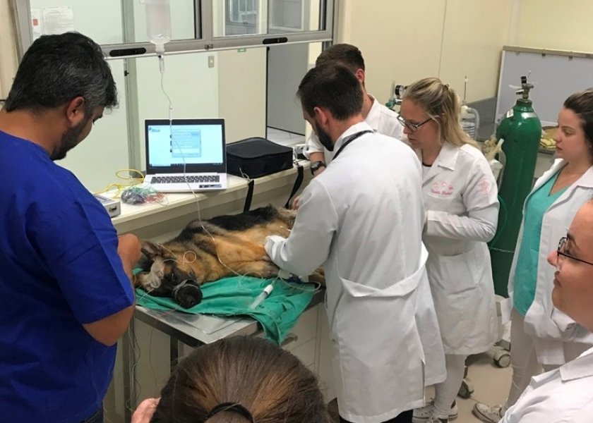 cirurgia-veterinaria-inedita-em-sc-e-realizada-na-unisul-em-tubarao-1