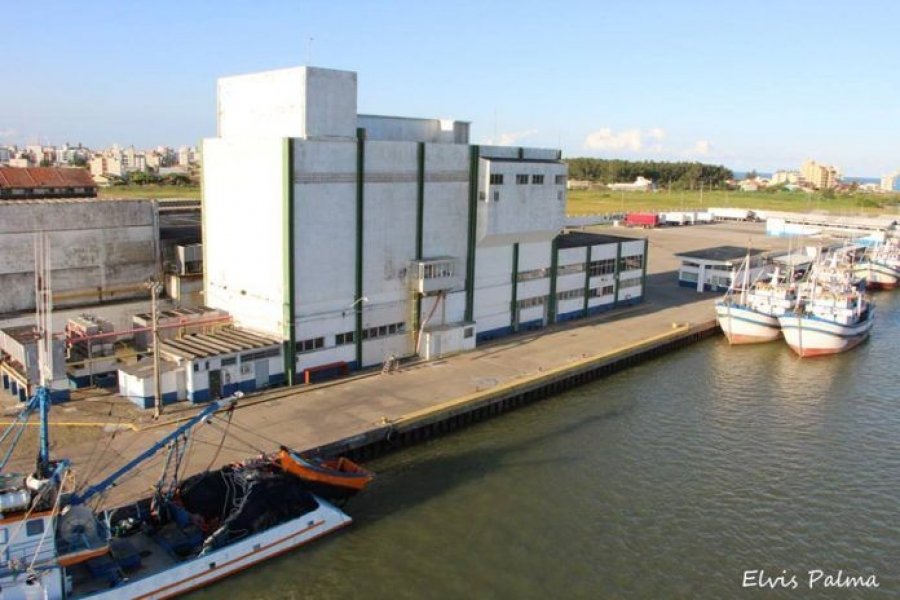 com-estadualizacao-funcionarios-que-prestam-servico-ao-terminal-pesqueiro-recebem-aviso-previo-1