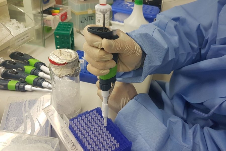 exame-para-identificar-virus-zika-e-comercializado-no-pais-1