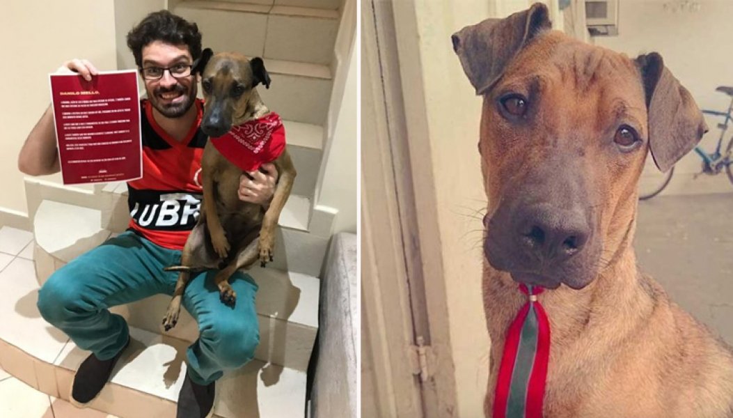 flamenguista-que-rifou-ingresso-para-salvar-cachorro-ganha-nova-chance-de-assistir-ao-jogo-1