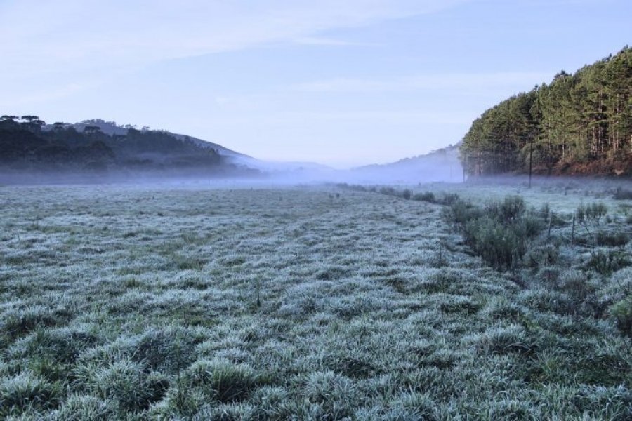 frio-persistente-serra-catarinense-registra-a-primeira-geada-de-outubro-1