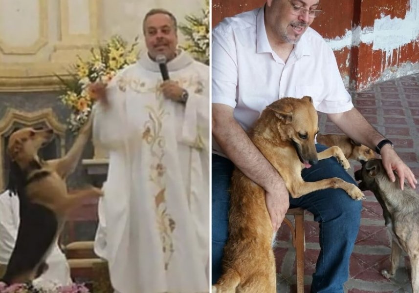 padre-leva-animais-abandonados-para-missa-e-promove-adocao-1