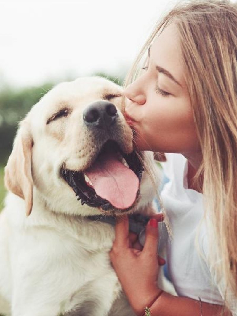 ter-um-cachorro-reduz-em-24-o-risco-de-morte-diz-estudo-1