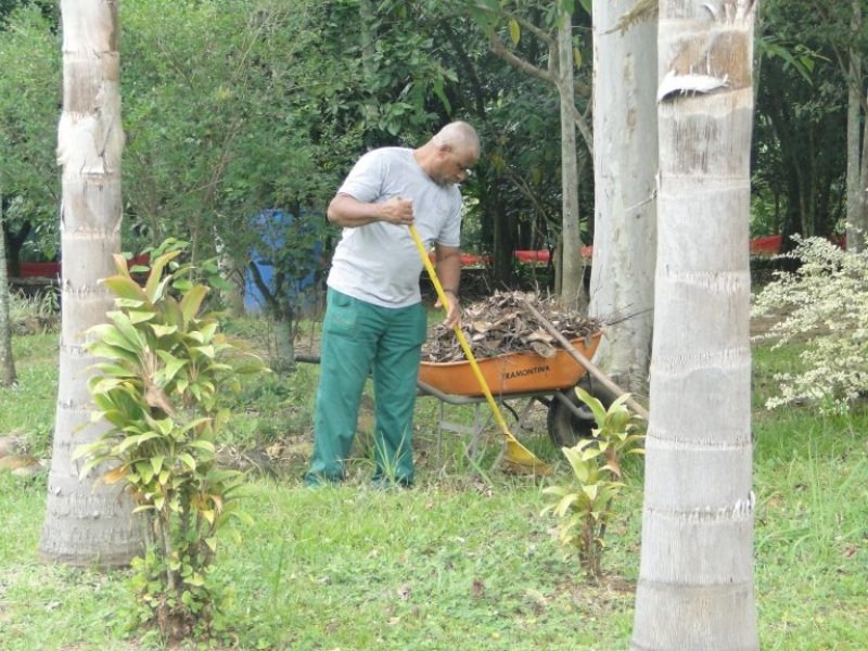 cuidado-com-o-meio-ambiente-55-mil-mudas-ja-foram-plantadas-em-criciuma-1