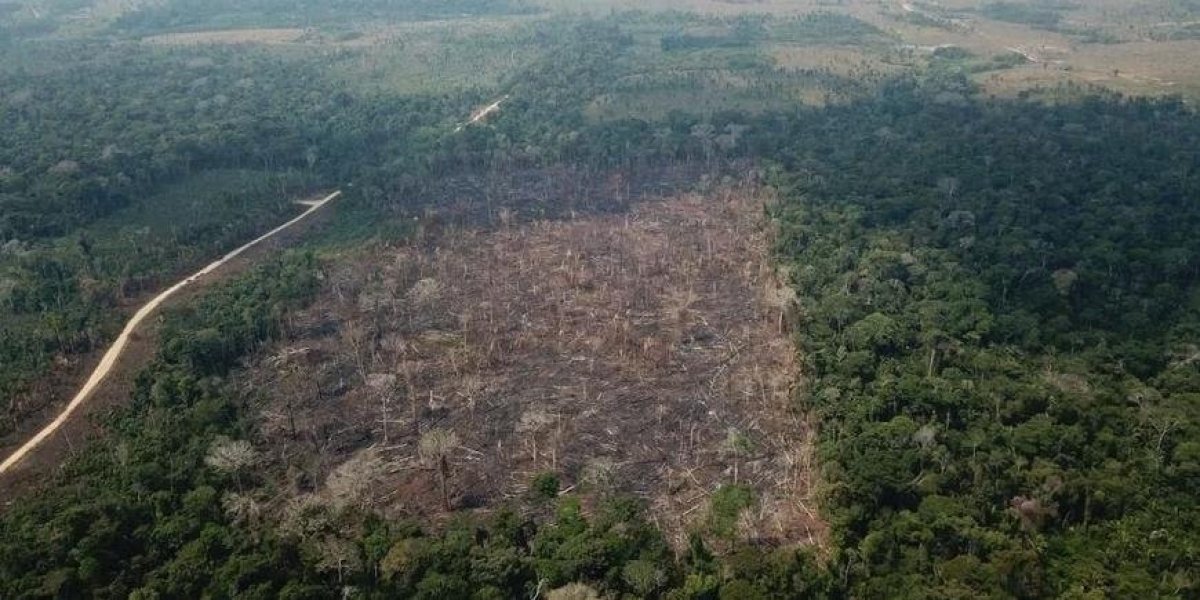 desmate-na-amazonia-voltou-a-subir-apontam-dados-do-inpe-1