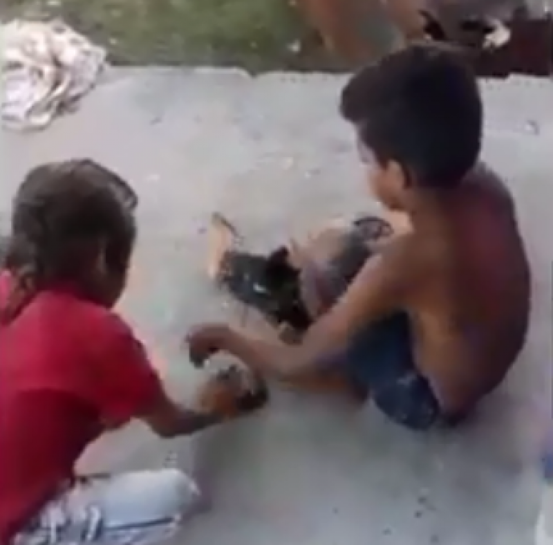 apos-materia-exclusiva-do-notisul-familia-de-menino-que-trocou-tenis-por-comida-recebe-alimentos-de-moradores-de-balneario-arroio-do-silva-1