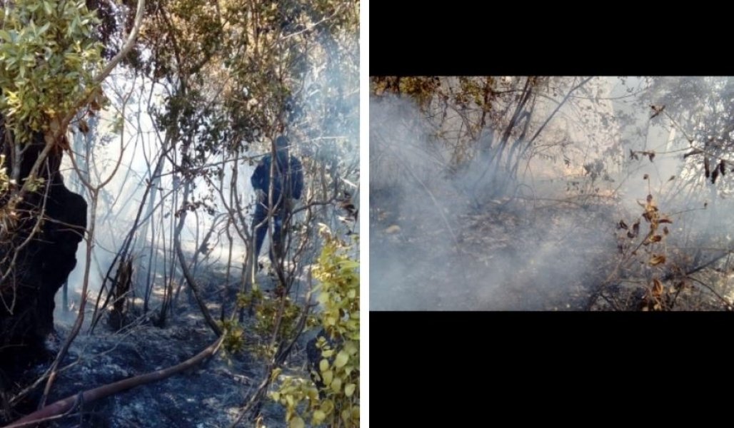 bombeiros-combatem-10-incendios-em-vegetacao-entre-ontem-6-e-hoje-em-laguna-1