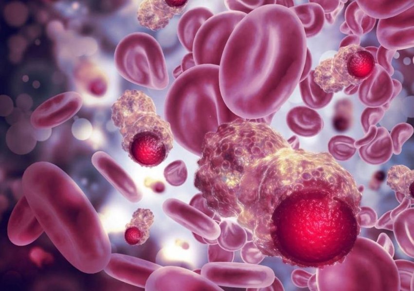 cientistas-descobrem-celula-que-podera-tratar-todos-os-tipos-de-cancer-1