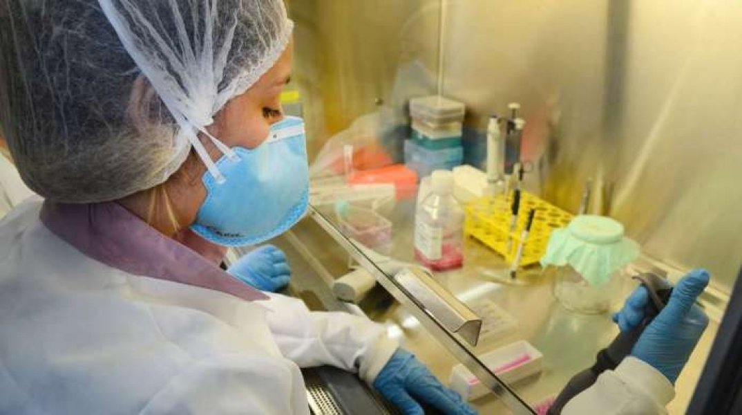 novo-virus-provoca-primeiro-caso-de-febre-hemorragica-brasileira-em-20-anos-1