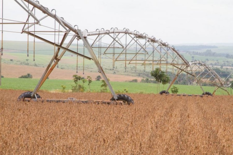producao-de-graos-do-pais-na-safra-2019-2020-devera-ser-recorde-1