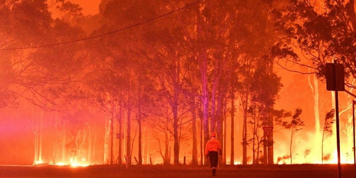 sobe-para-29-total-de-mortos-em-incendios-na-australia-1