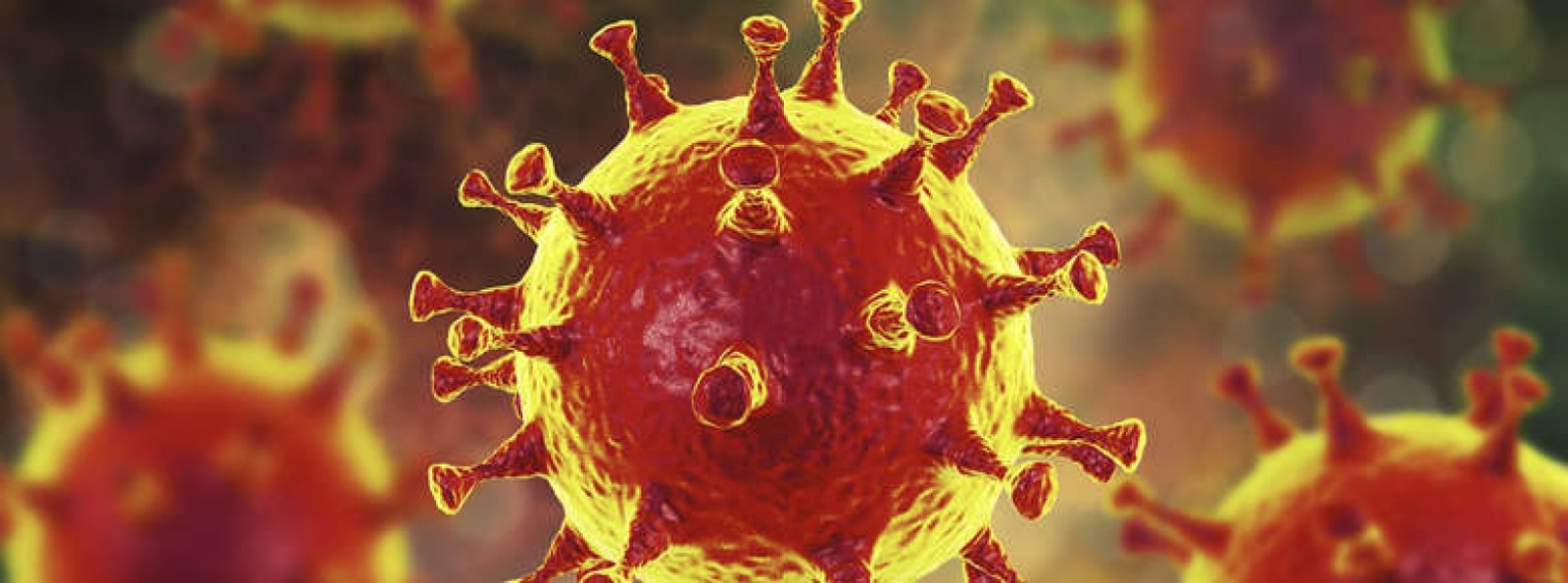 coronavirus-no-brasil-apos-48-horas-do-primeiro-caso-confirmado-pesquisadores-sequenciam-genoma-1