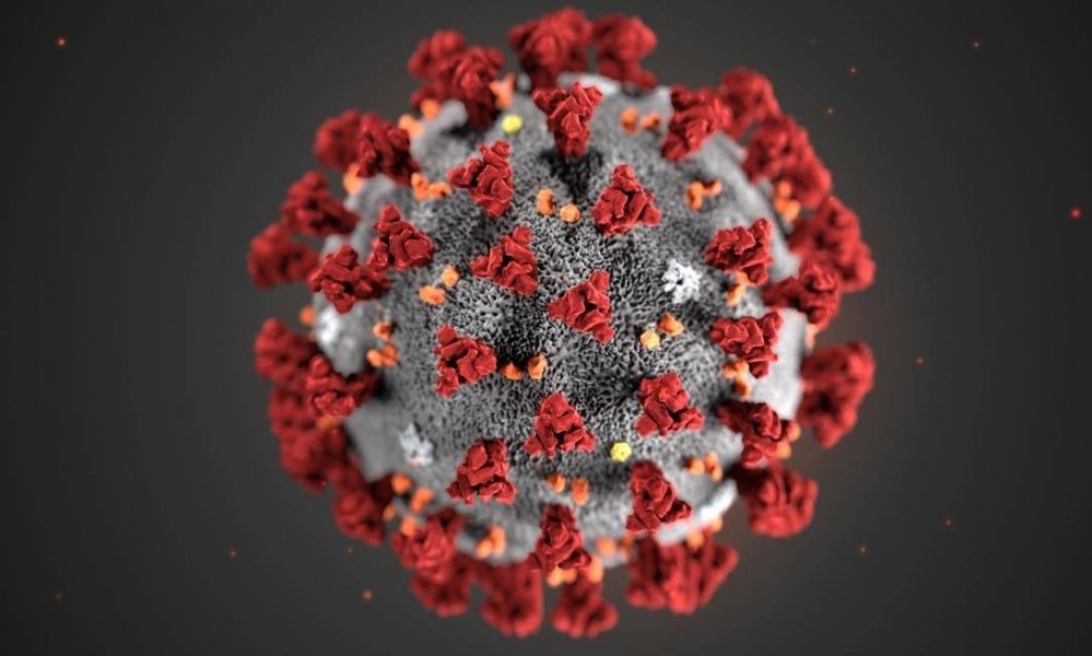 mais-de-75-dos-mortos-pelo-novo-coronavirus-tinham-mais-de-60-anos-e-problemas-de-saude-0