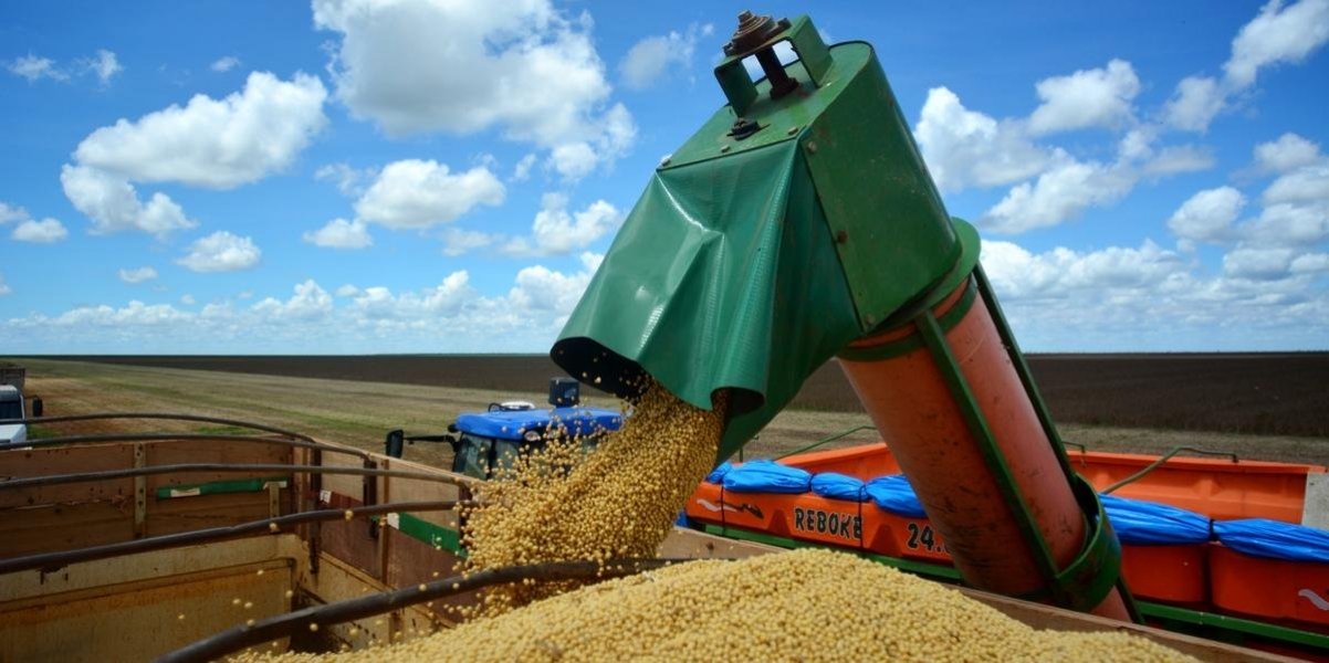 safra-de-soja-sera-recorde-em-2020-com-alta-de-87-ante-2019-projeta-ibge-1
