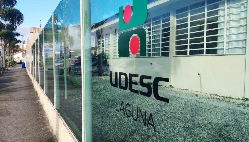 udesc-publica-lista-de-aprovados-em-vestibular-ead-2020-1