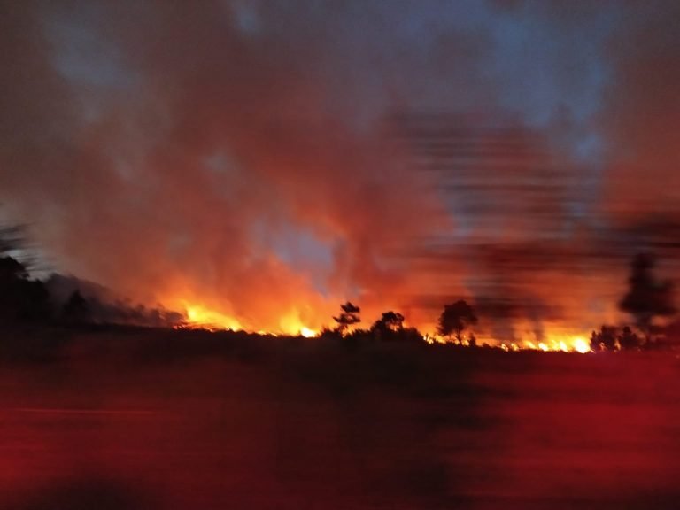 Bombeiros levam quase 12 horas para combater incêndio em mata nativa em Laguna Bombeiros levam quase 12 horas para combater incêndio em mata nativa em Laguna