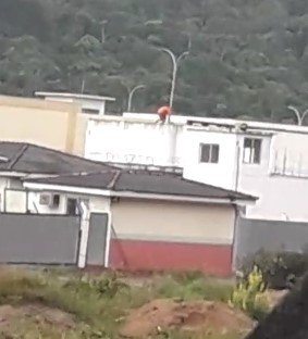 Vídeo: Assista o momento da fuga hoje (2) dos detentos do Presídio Regional em Tubarão