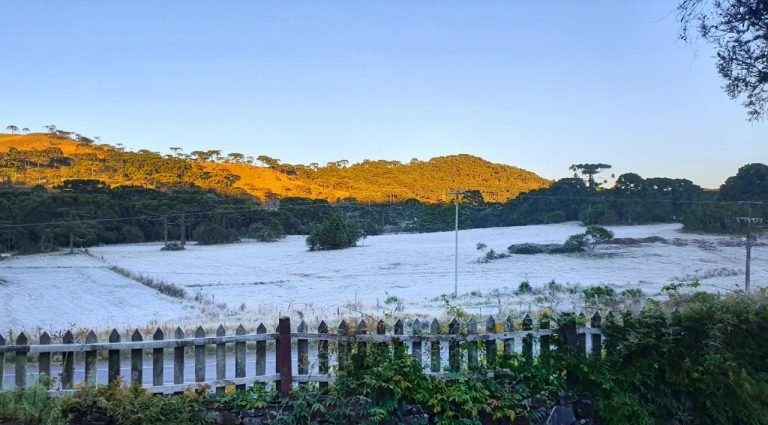 Temperaturas negativas e geada forte mudam a paisagem da Serra Catarinense na madrugada desta quinta Temperaturas negativas e geada forte mudam a paisagem da Serra Catarinense na madrugada desta quinta