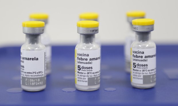 Segunda morte por febre amarela é confirmada em SC