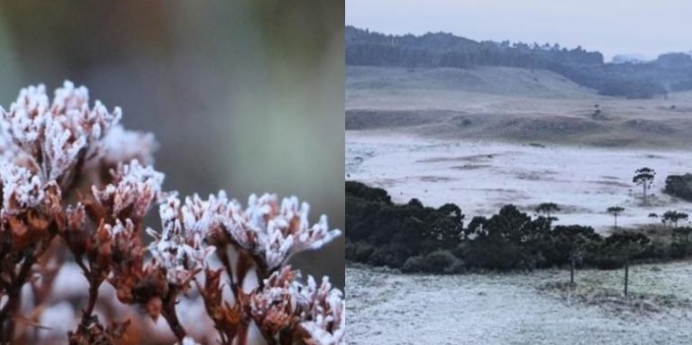 Madrugada foi gelada e com geada na serra catarinense