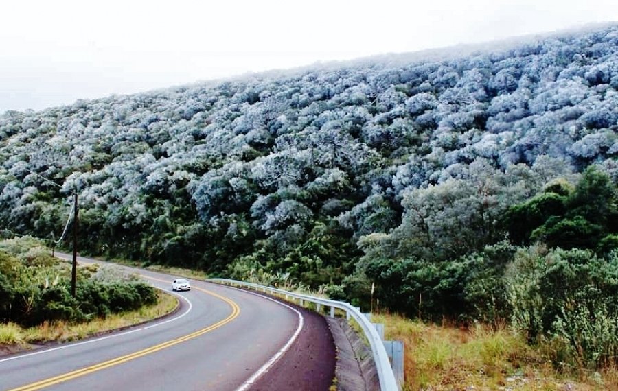 Temperatura baixa com geada e mar agitado com ressaca no Litoral Sul