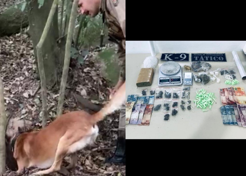 Adolescente é flagrado pela PM e Canil em Tubarão