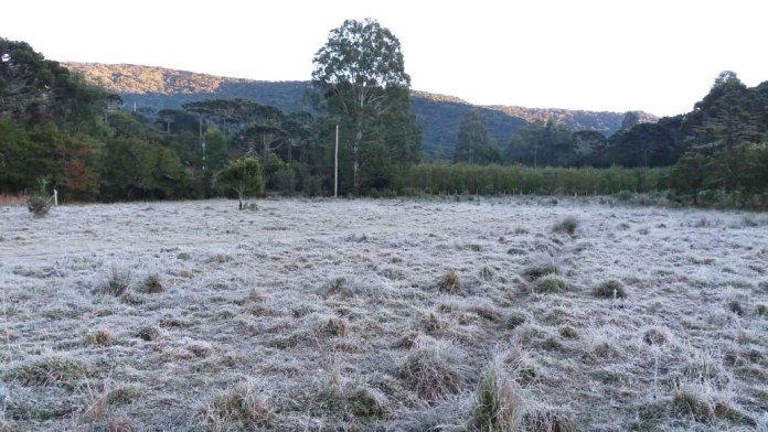 Geada volta a cobrir hoje (11) os campos da serra catarinense