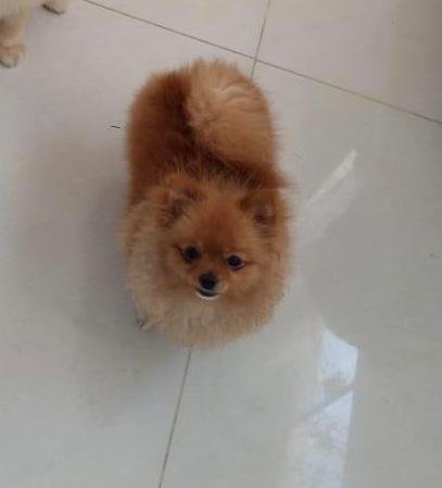Zoe