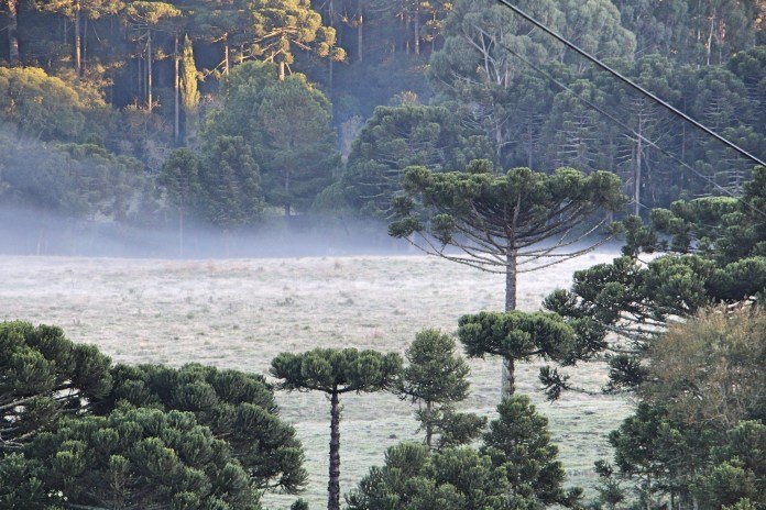 Inverno começa neste sábado, mas frio intenso só em Julho