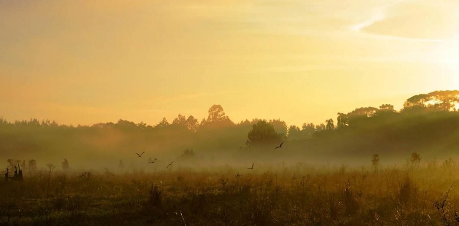 Amanhecer em um dia típico de inverno em CanoinhasFátima Santos