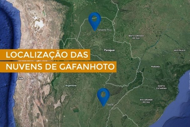 Defesa Civil monitora segunda nuvem de gafanhotos que pode atingir SC