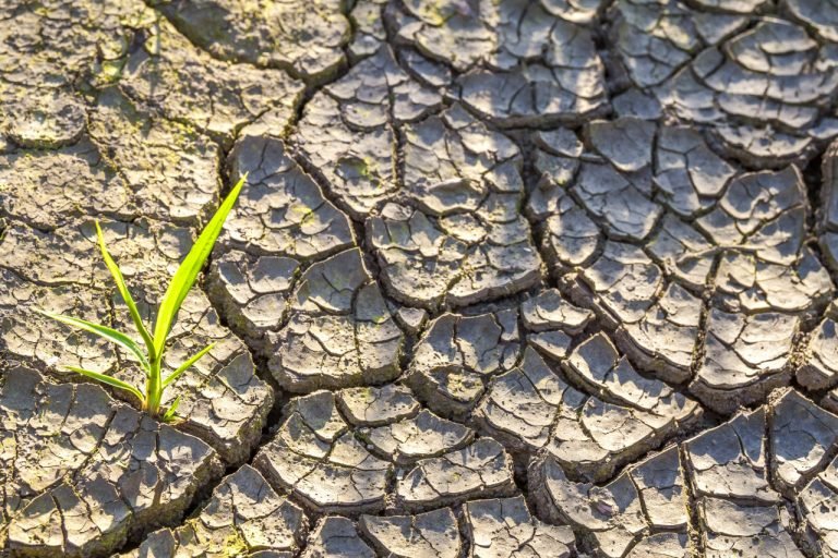 Resiliência – uma competência básica