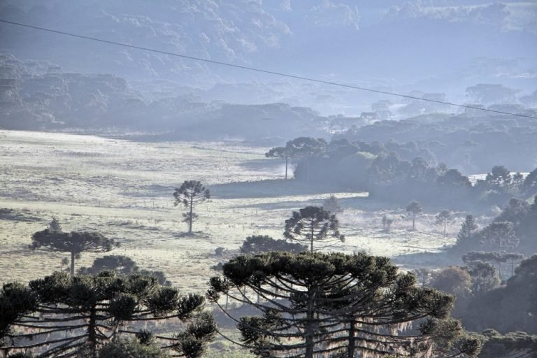Santa Catarina terá amanhecer gelado e temperaturas amenas à tarde nesta sexta-feira