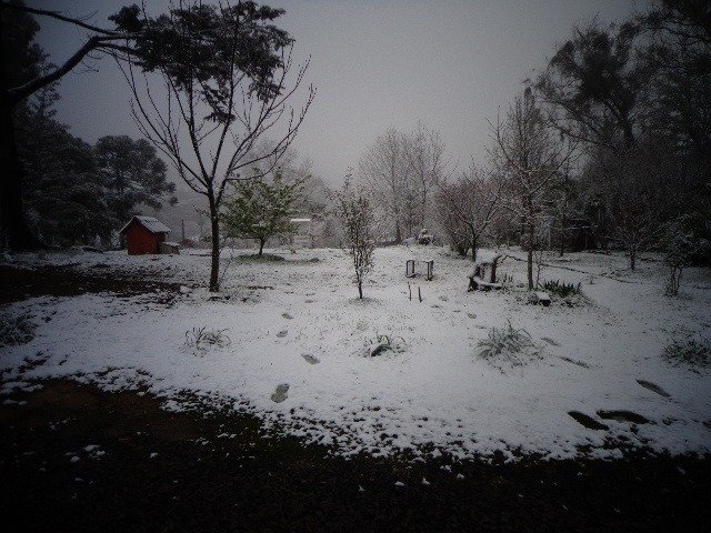 Acumulados de neve podem chegar a 30 cm nos pontos mais altos da Serra