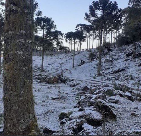 Frio intenso Serra Catarinense registra -0,9ºC na madrugada de sexta-feira