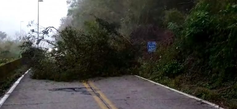 Trecho da Serra do Rio Rastro fica interditado após queda de barreira neste domingo Trecho da Serra do Rio Rastro fica interditado após queda de barreira neste domingo