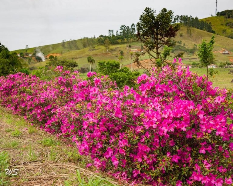Terça-feira segue com temperaturas amenas em Santa Catarina