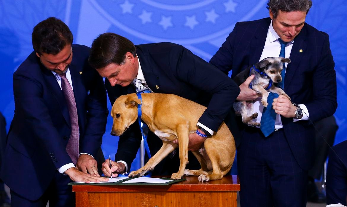 Bolsonaro leva cão caramelo durante sanção da lei que aumenta pena para quem maltratar animais domésticos
