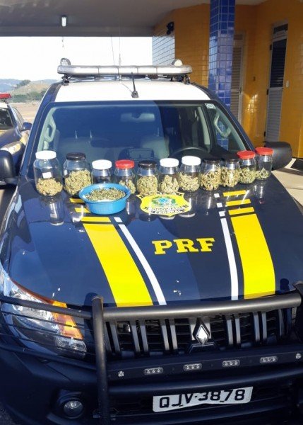 prf-apreende-10-pes-de-maconha-na-br-101-em-tubarao