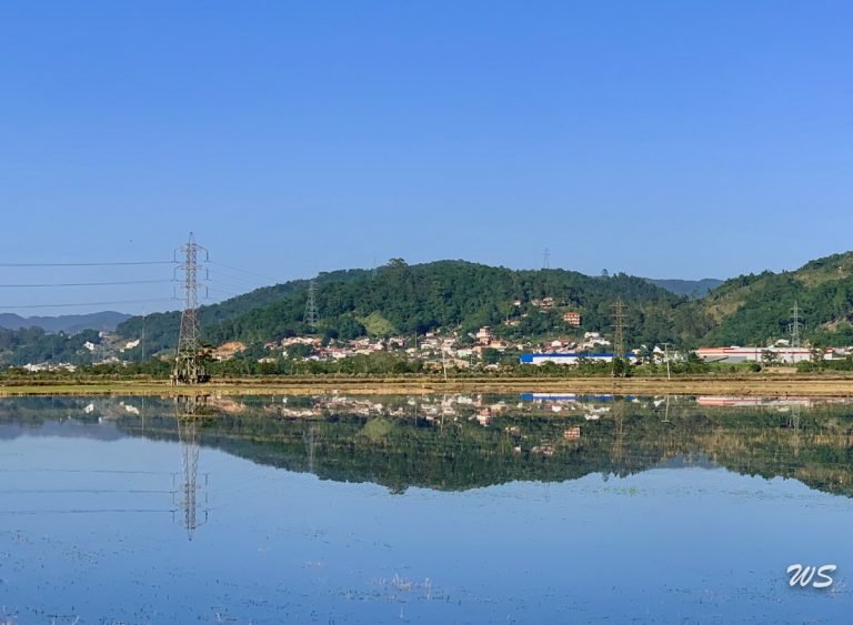 Sexta-feira é de sol e calor em Santa Catarina