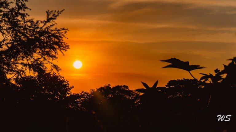 Temperaturas podem chegar a 30ºC em grande parte de SC nesta sexta