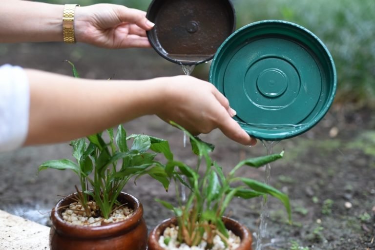 Executivo de SC sanciona lei com medidas para controle da dengue e febre amarela