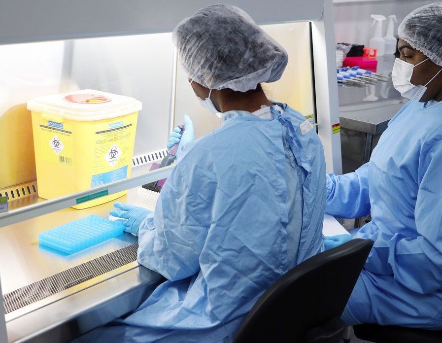 Novo estudo mostra que anticorpos contra a Covid-19 duram pelo menos sete meses (2)