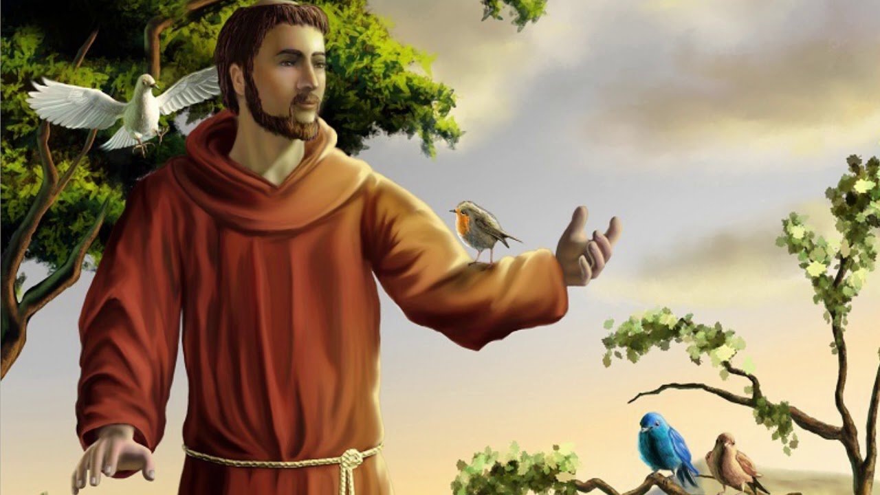 paroco animais são francisco