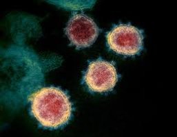 Braço do Norte registra 21 mortes por Covid-19 Braço do Norte registra 21 mortes por Covid-19