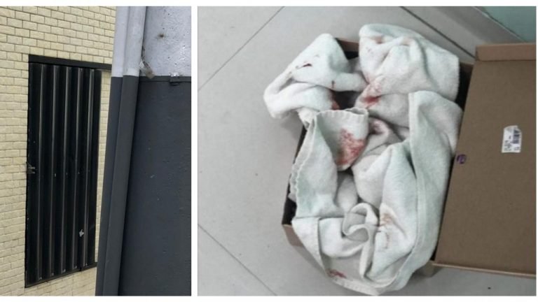 Recém-nascida é abandonada em lixeira de prédio em Balneário Camboriú