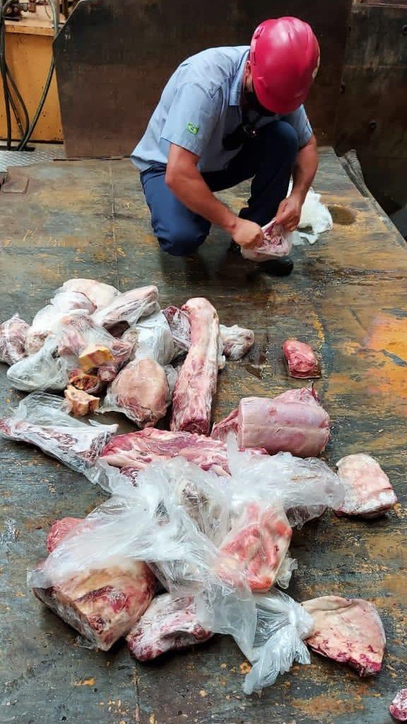 Tubarão Vigilância Sanitária apreende mais de 300 quilos de carne fora das normas de conservação